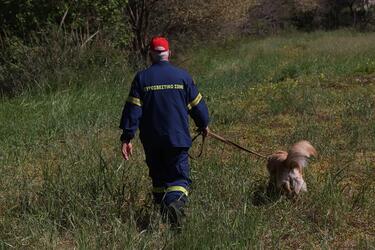 εξαφάνιση-ελευθερία γιακουμάκη