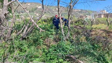 εξαφάνιση-ελευθερία γιακουμάκη-ερευνες