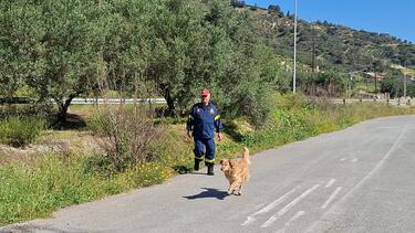 εξαφάνιση Ελευθερία Γιακουμάκη