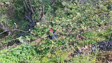 εξαφάνιση-ελευθερία γιακουμάκη-ερευνες