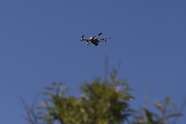 Στο "κόκκινο" η αγωνία για την 43χρονη Ελευθερία - Με εκπαιδευμένους σκύλους και drones οι έρευνες 