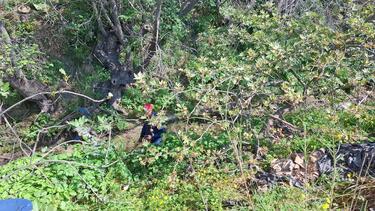 εξαφάνιση-ελευθερία γιακουμάκη-ερευνες