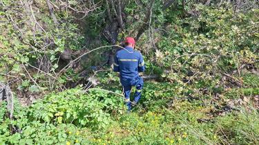 εξαφάνιση-ελευθερία γιακουμάκη-ερευνες