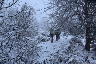 ορειβάτες-πλακέτα-βαρδούσια