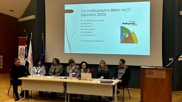 Συνέδριο, Διδακτική Μαθηματικών