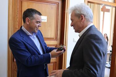 Αλέξης Τσίπρας, Αλέξης Καλοκαιρινός