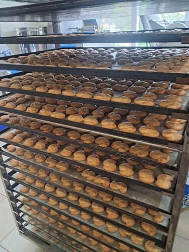 Γειτόνισσες της Χαλέπας