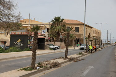 Δήμος Ηρακλείου-Πράσινο