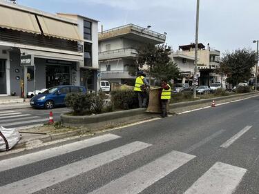 Εργασίες πρασίνου, Ηράκλειο