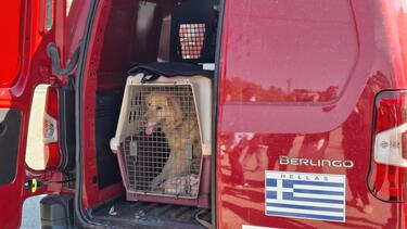 έρευνες -Ελευθερία Γιακουμάκη