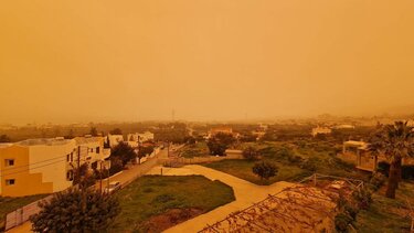 Χερσόνησος σκόνη