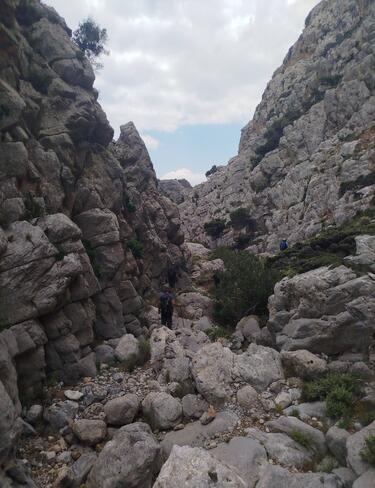 drogari_oreivatikos