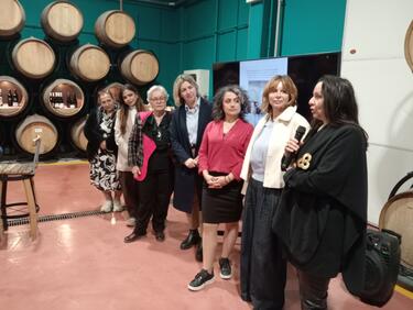 Αναπτυξιακός Σύλλογος Γυναικών Επιχειρηματιών, Διοικητικό Συμβούλιο