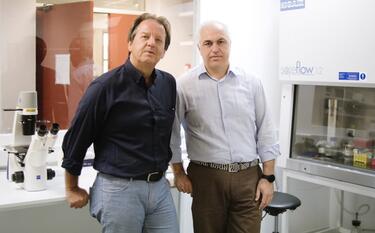 Gravanis Achilleas
