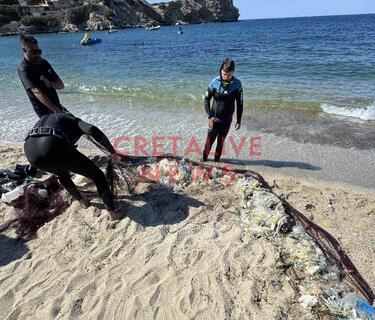 Λυγαριά Μαλεβίζι