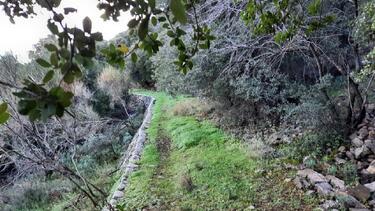 Δρόμοι Ζωής, Μινωικό Μονοπάτι