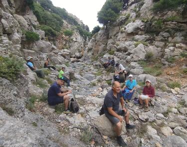 drogari_oreivatikos