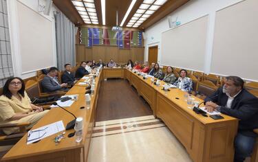 Περιφέρεια Κρήτης, Κινέζικη Αντιπροσωπεία