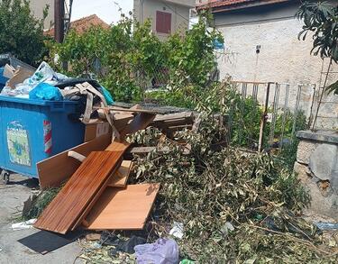 Σκουπίδια, Τρία Πεύκα