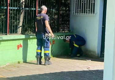 Θεσσαλονίκη, Νηπιαγωγείο, Φίδια