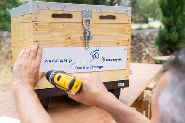 “Bee the Change”: Η team AEGEAN γιόρτασε την Παγκόσμια Ημέρα Περιβάλλοντος