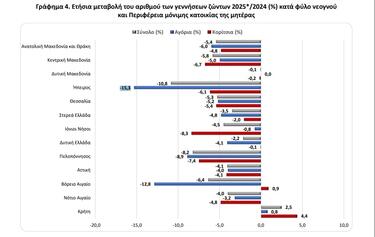 elstat_genniseis
