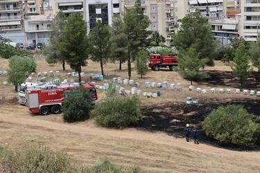 Φωτιά-Αλσος Βεικου