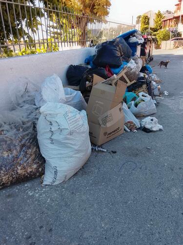 Σκουπίδια στον Καρτερό