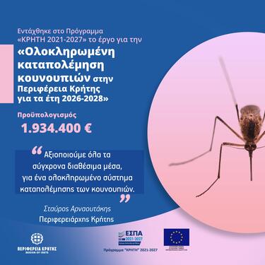 Κουνούπια 