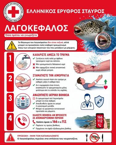 Λαγοκέφαλος, Αφίσα 