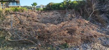 Λασίθι: Τσιφλίκι… όνομα και πράγμα για την παραλία της Ελούντας!