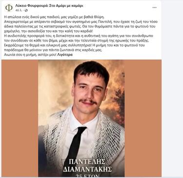 anartisi diamantakis