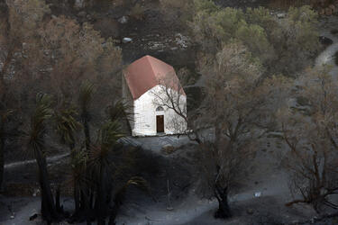 Foinikodasos Preveli pyrkagia