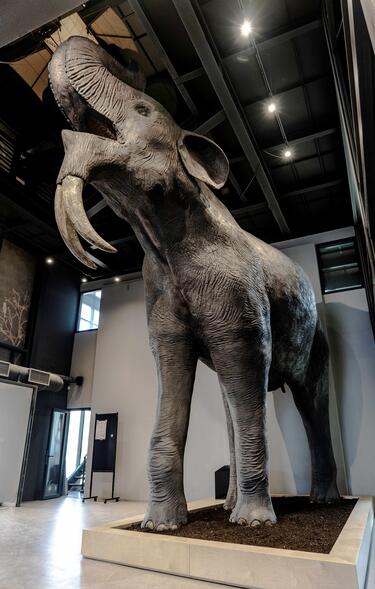 deinothirio
