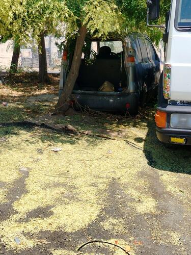 Γιόφυρος: "Χώρος πρασίνου χωρίς... πράσινο, αλλά με σκουπίδια και ό,τι άλλο μπορείτε να φανταστείτε!"