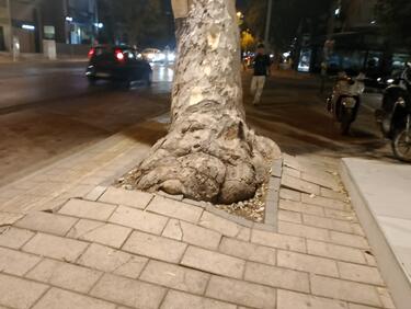 dentro dimokratias3