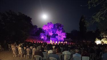 Αρχαία Γόρτυνα, Εκδήλωση
