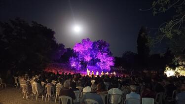 Αρχαία Γόρτυνα, Εκδήλωση