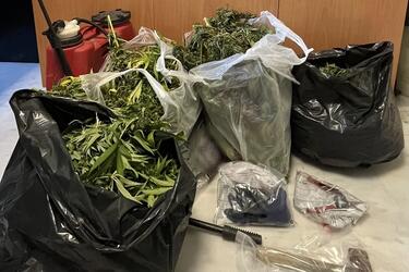 χασισοφυτεία-κρατούμενος-αγροτικές-φυλακές-αγιάς