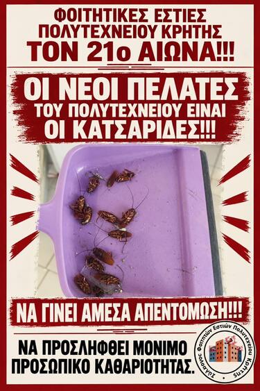 Πολυτεχνείο Κρήτης, Κατσαρίδες