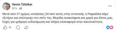 Τζίτζικας