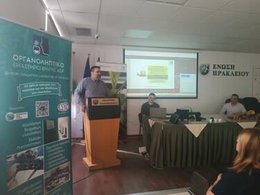 Ελαιοπαραγωγοί, Εκπαίδευση