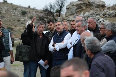 Τσίπρας, Μέλαμπες