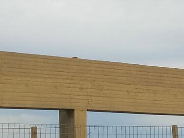 σκύλος βιομηχανική περιοχή
