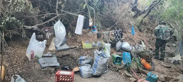 dendryllia rethymno4