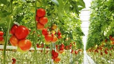 Τα χειρότερα φαγητά αν έχετε γαστροοισοφαγική παλινδρόμηση