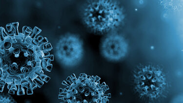 Πόσο συνδέεται το μικροβίωμα εντέρου με τον κίνδυνο μακράς Covid-19