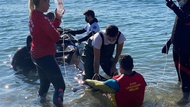 Χανιώτες στην επιχείρηση διάσωσης της φάλαινας στον Άλιμο