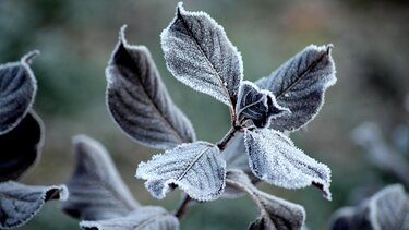 Στους -10 βαθμούς η θερμοκρασία το πρωί στη Βόρεια Ελλάδα