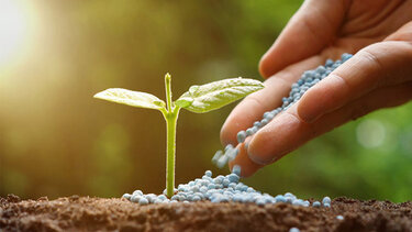 Ενημέρωση για την ορθή εφαρμογή των γεωργικών φαρμάκων